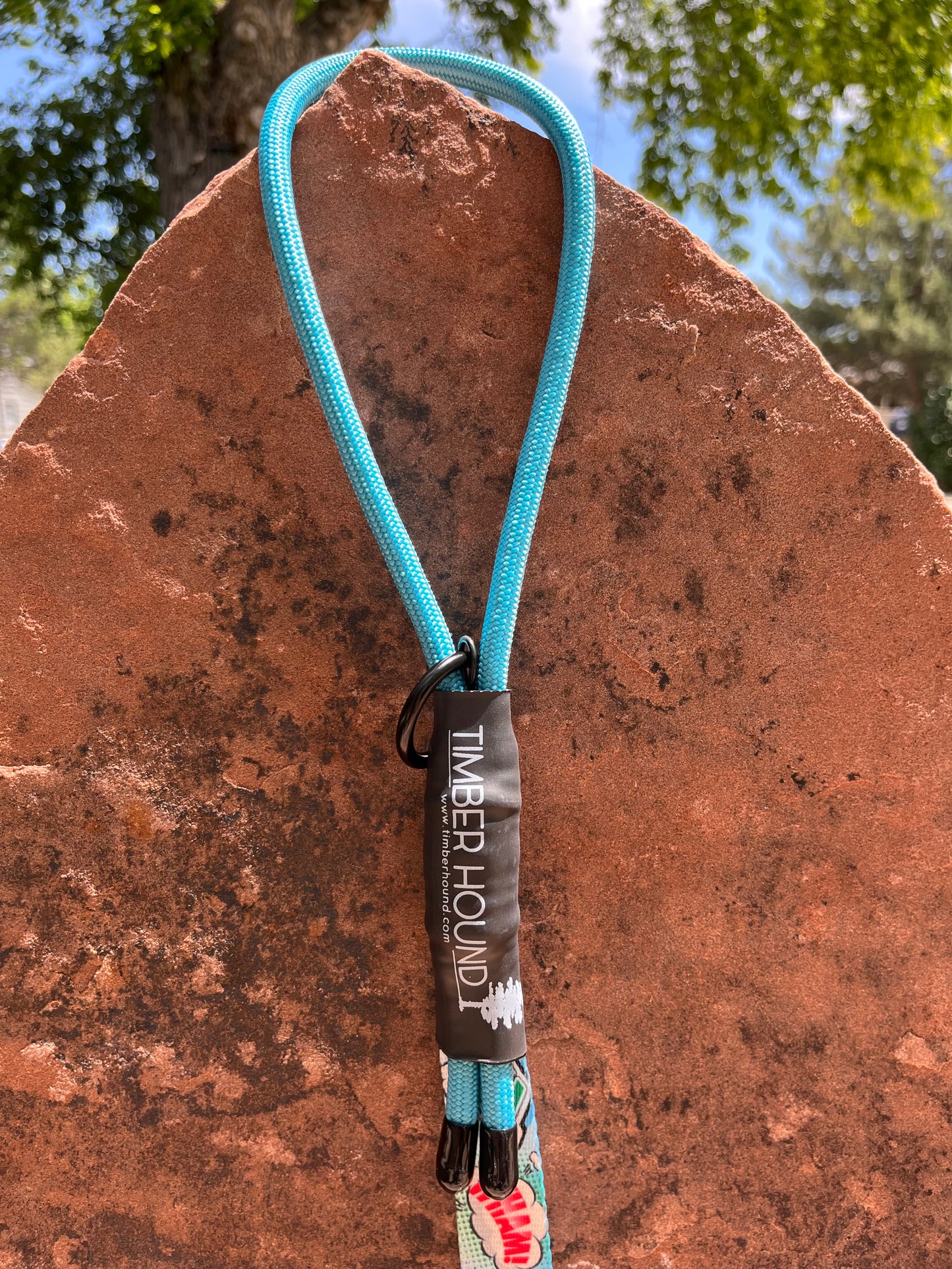Standard Poly Leash