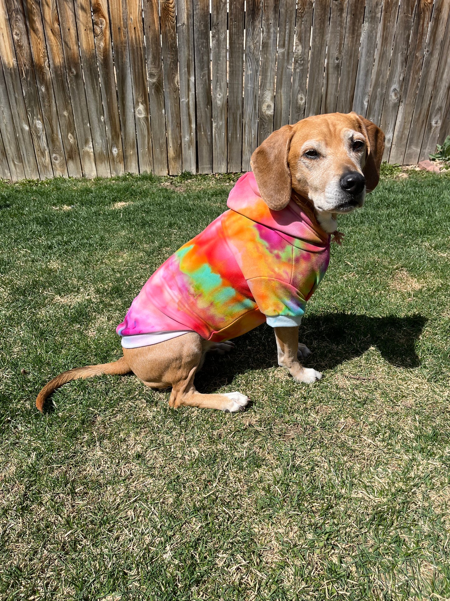 Tie Dye Sweatshirt - 2X Small