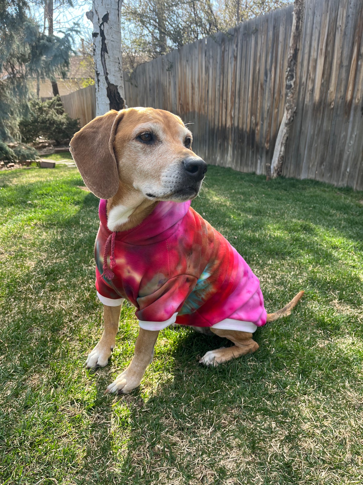 Tie Dye Sweatshirt - 2X Small