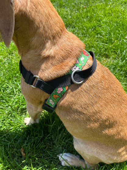 Harnesses